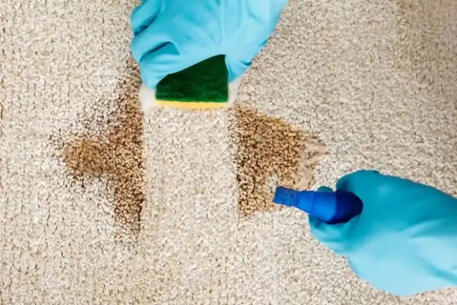 How To Prepare Your Home For A Carpet Cleaning Appointment San Juan Capistrano CA How To Prepare Your Home For A Carpet Cleaning Appointment San Juan Capistrano CA